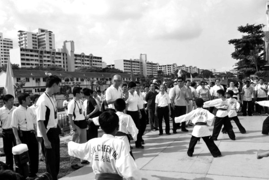 Mass martial arts display 1988