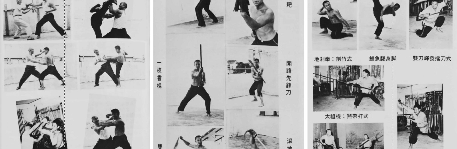 Demonstration plates of the San Cheen Do forms, sparring and weapons